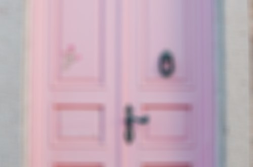 现代轻巧时尚防护门